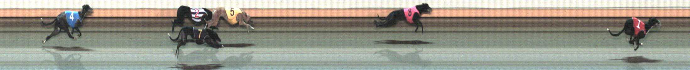 Photo finish for Warrnambool Race 11