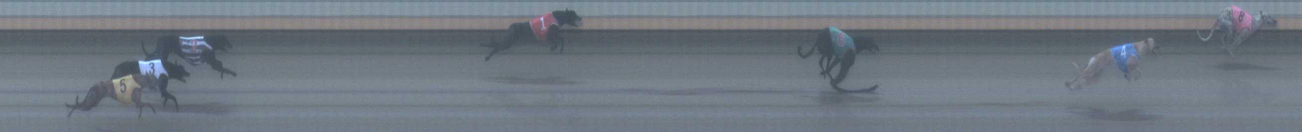 Photo finish for Warrnambool Race 3