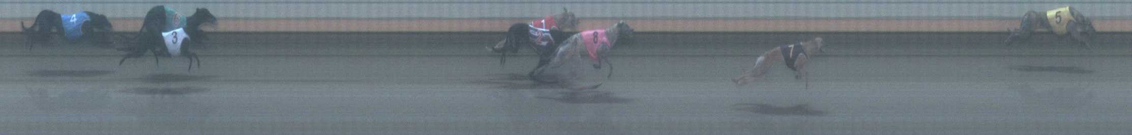 Photo finish for Warrnambool Race 4