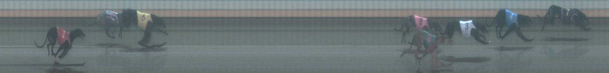 Photo finish for Warrnambool Race 5