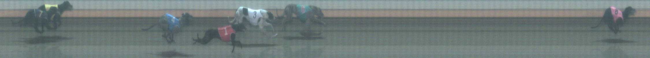 Photo finish for Warrnambool Race 6