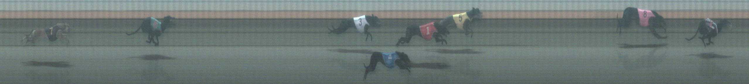 Photo finish for Warrnambool Race 7