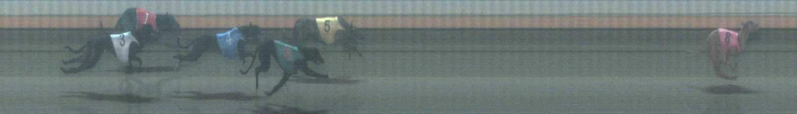 Photo finish for Warrnambool Race 9