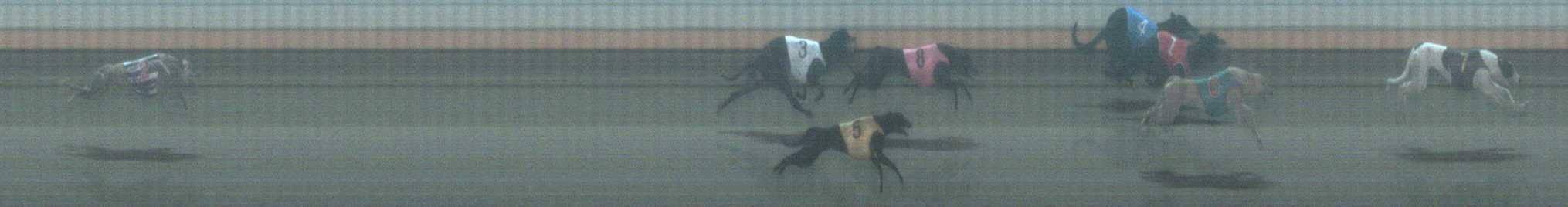 Photo finish for Warrnambool Race 10