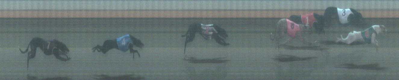 Photo finish for Warrnambool Race 11
