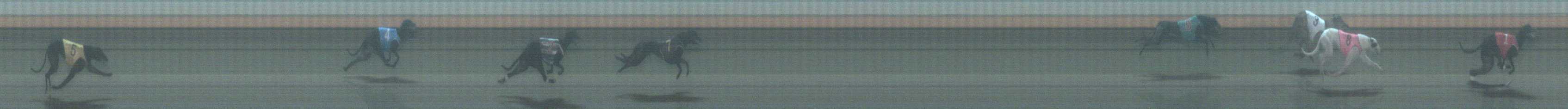 Photo finish for Warrnambool Race 12