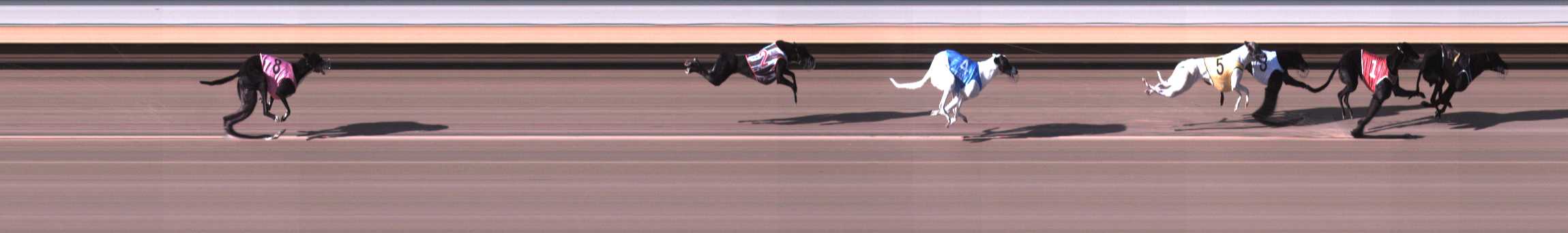 Photo finish for Warrnambool Race 1