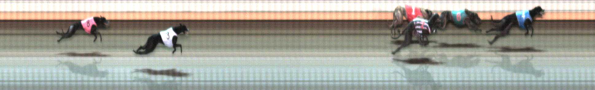 Photo finish for Warrnambool Race 10