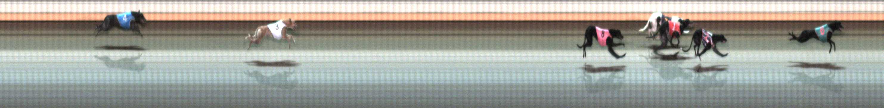 Photo finish for Warrnambool Race 11