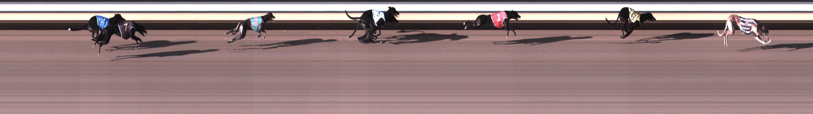 Photo finish for Warrnambool Race 2