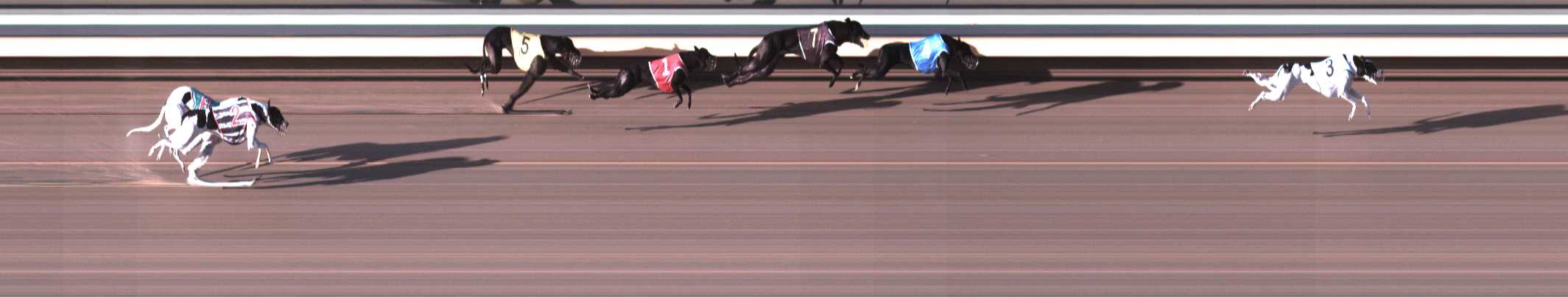 Photo finish for Warrnambool Race 3