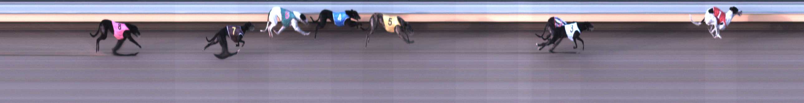 Photo finish for Warrnambool Race 4