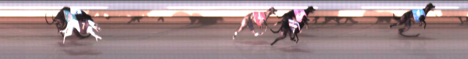 Photo finish for Warrnambool Race 5