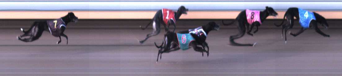 Photo finish for Warrnambool Race 1