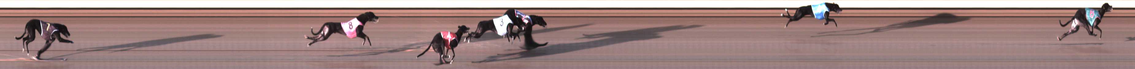 Photo finish for Warrnambool Race 2