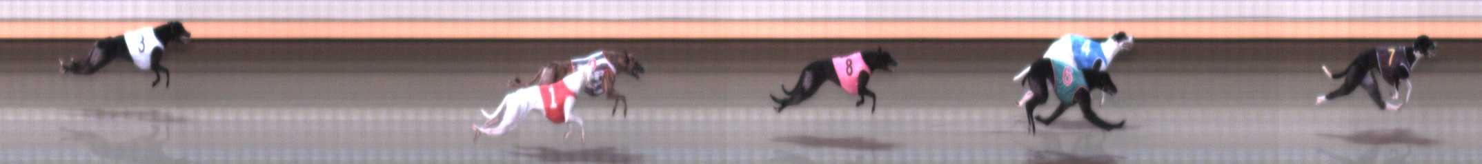 Photo finish for Warrnambool Race 4