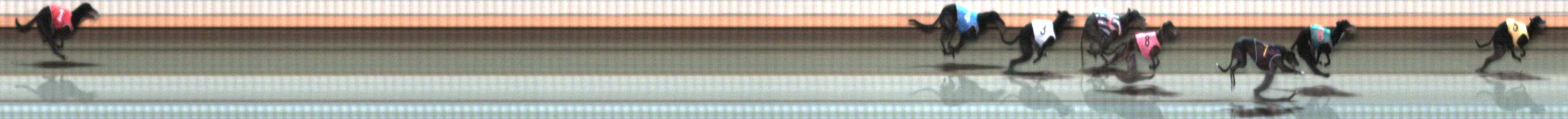 Photo finish for Warrnambool Race 6