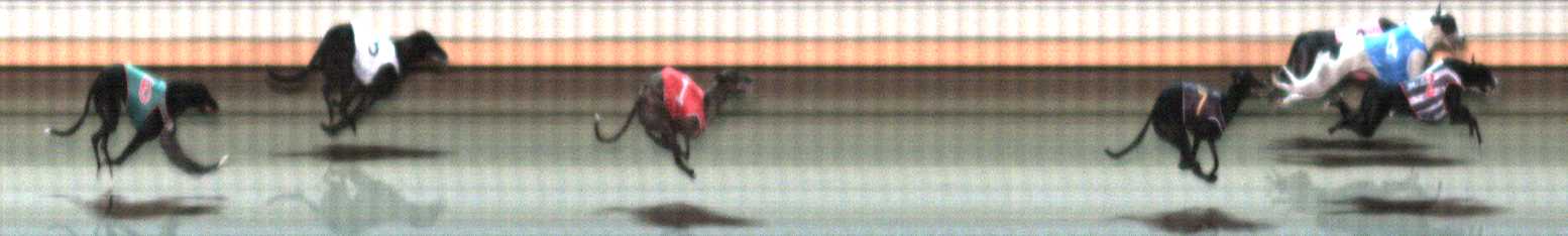 Photo finish for Warrnambool Race 9