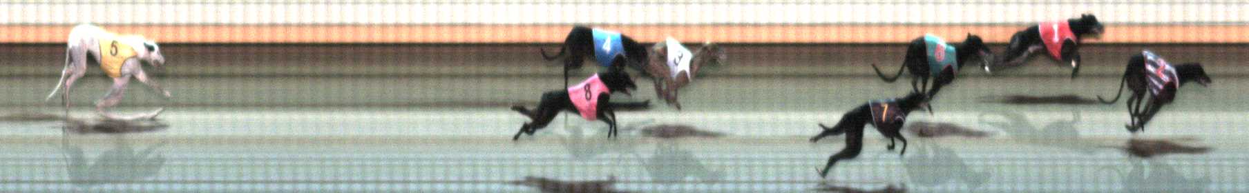 Photo finish for Warrnambool Race 11