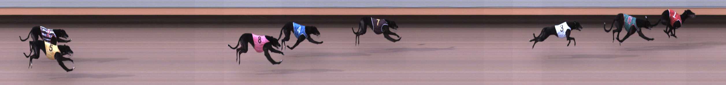 Photo finish for Warrnambool Race 1
