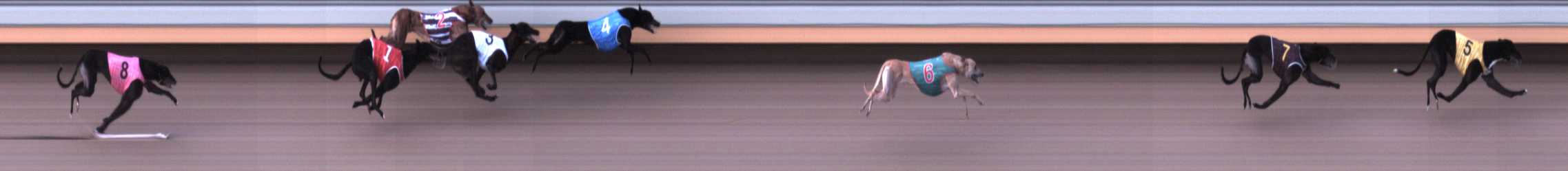 Photo finish for Warrnambool Race 3