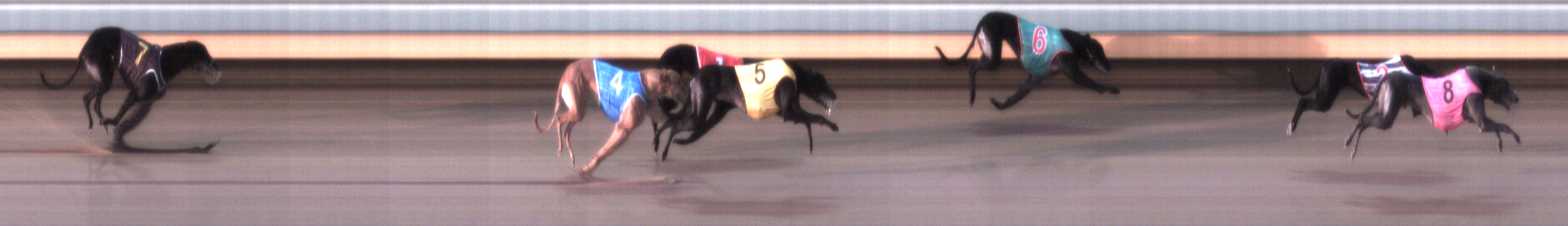 Photo finish for Warrnambool Race 5