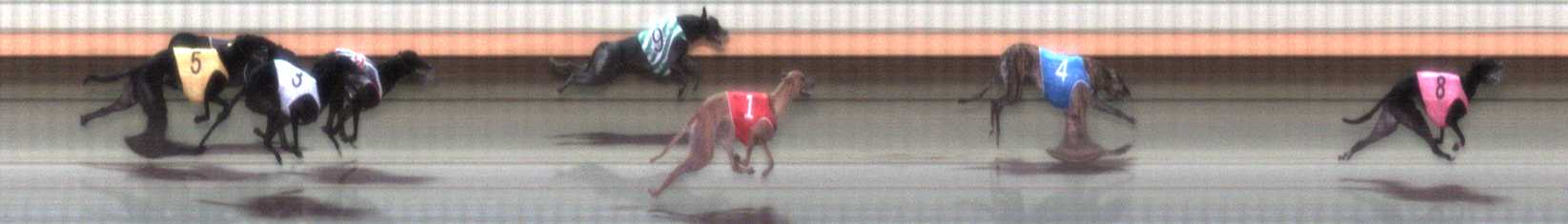 Photo finish for Warrnambool Race 7
