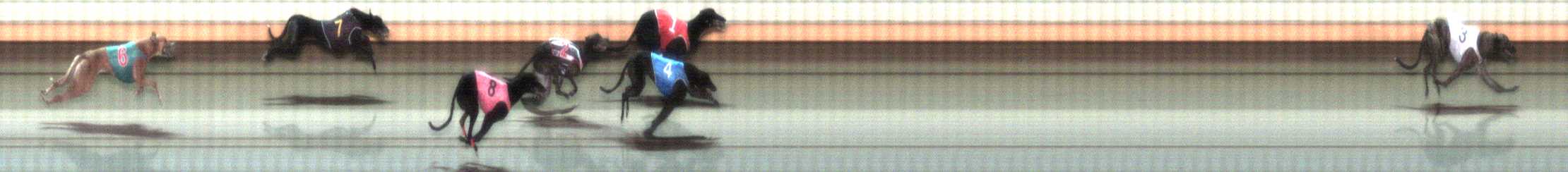 Photo finish for Warrnambool Race 10