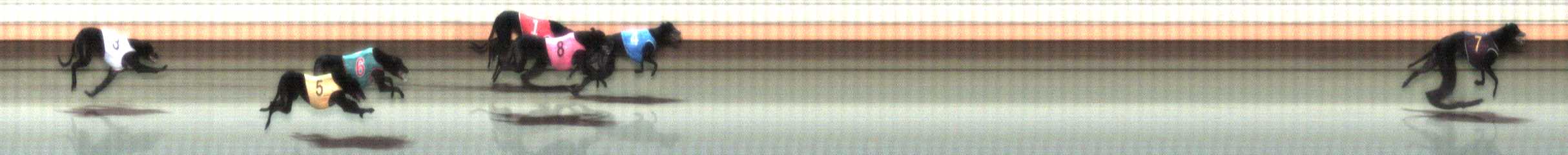Photo finish for Warrnambool Race 11