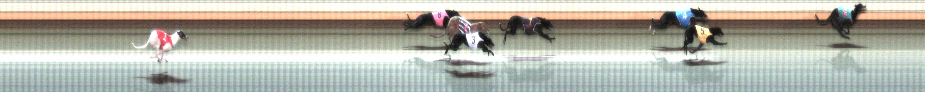Photo finish for Warrnambool Race 1