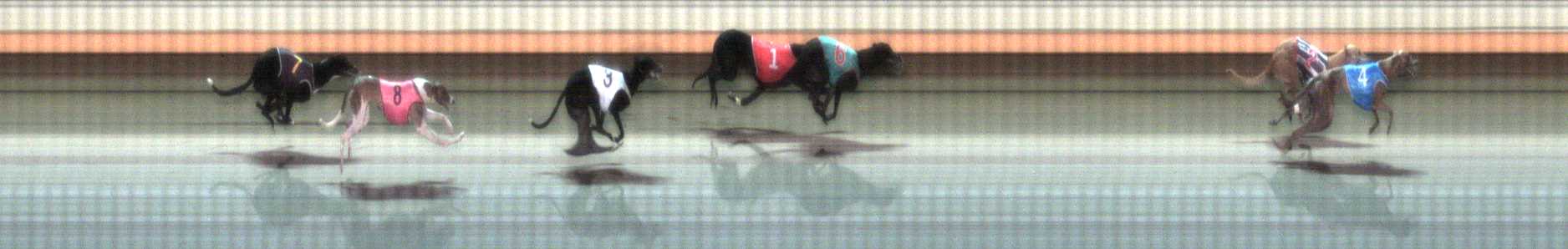 Photo finish for Warrnambool Race 3