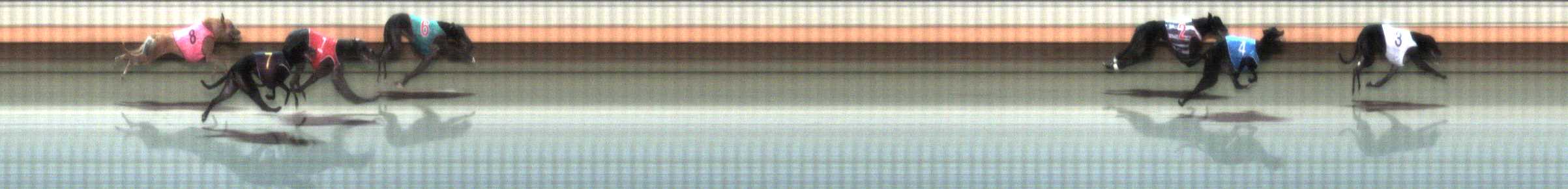 Photo finish for Warrnambool Race 4