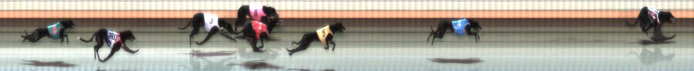 Photo finish for Warrnambool Race 1