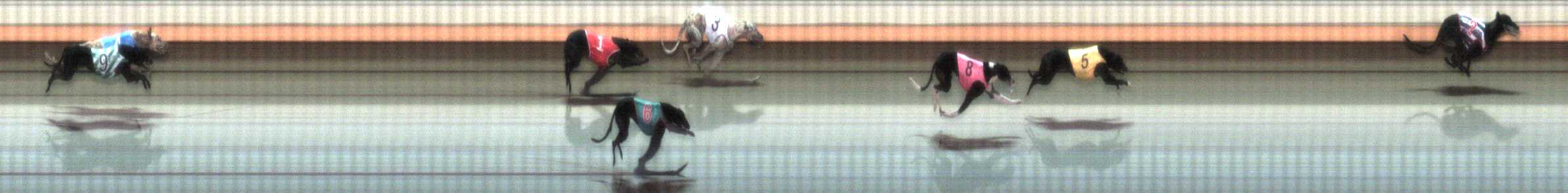 Photo finish for Warrnambool Race 2