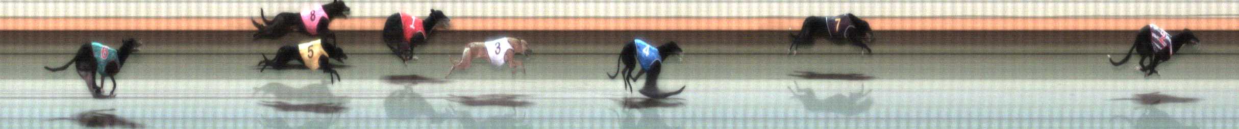 Photo finish for Warrnambool Race 3