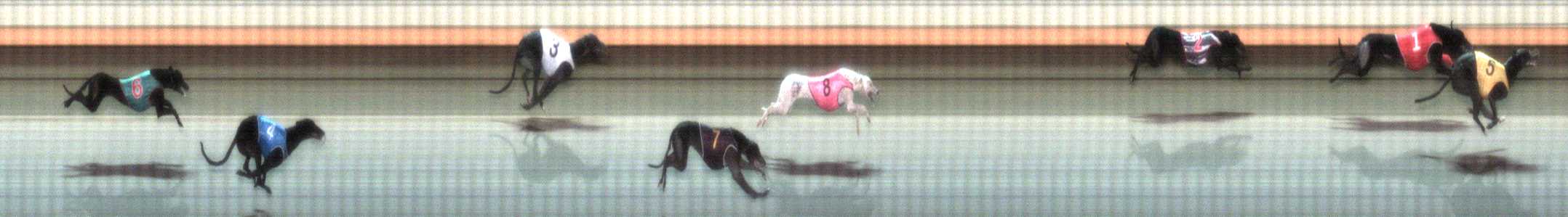 Photo finish for Warrnambool Race 4
