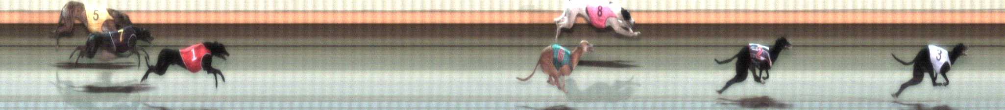 Photo finish for Warrnambool Race 5