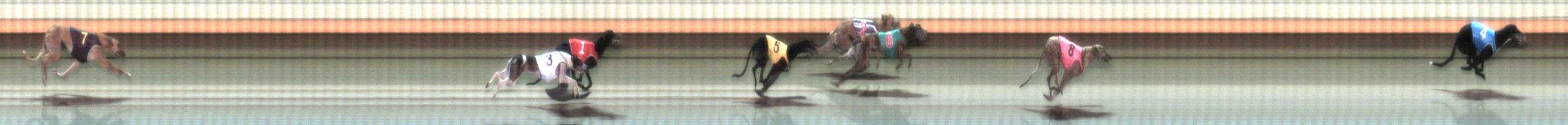 Photo finish for Warrnambool Race 6