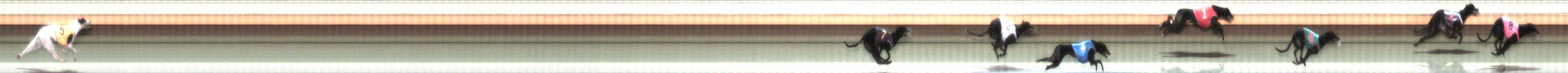 Photo finish for Warrnambool Race 7