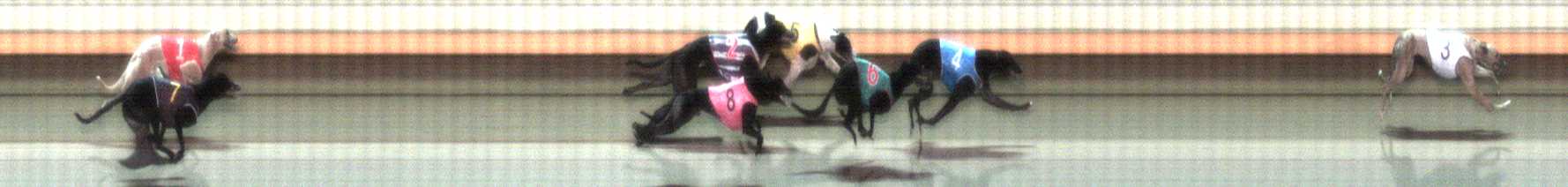 Photo finish for Warrnambool Race 9