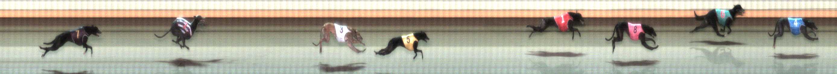 Photo finish for Warrnambool Race 10