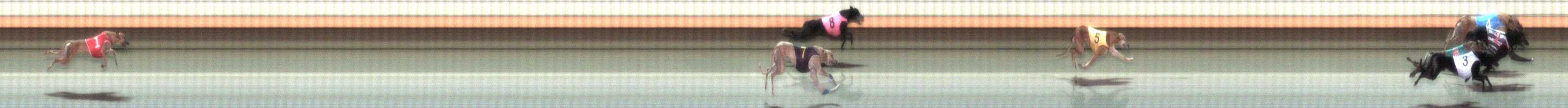 Photo finish for Warrnambool Race 12
