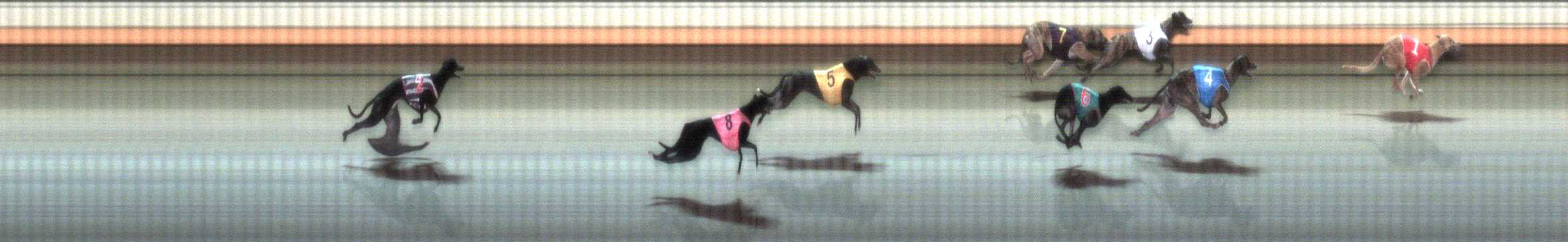 Photo finish for Warrnambool Race 1