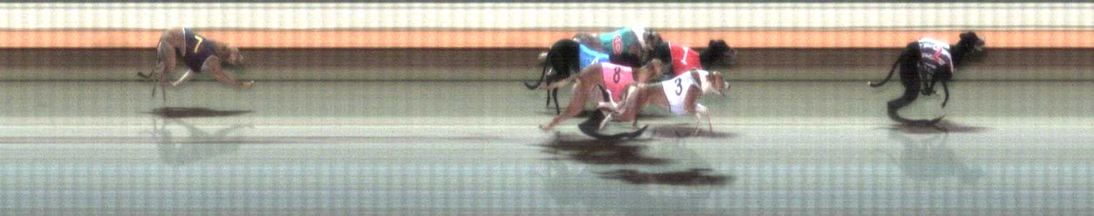 Photo finish for Warrnambool Race 11