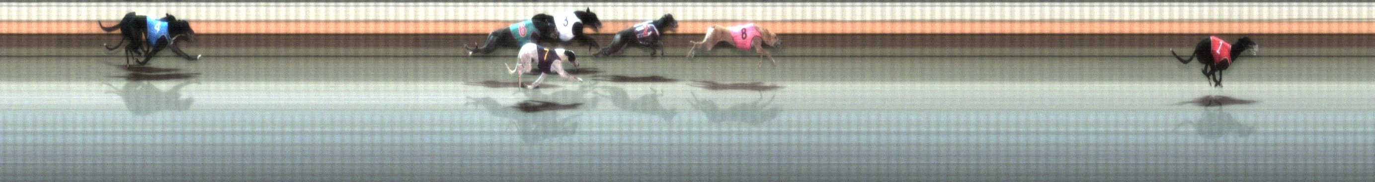 Photo finish for Warrnambool Race 2