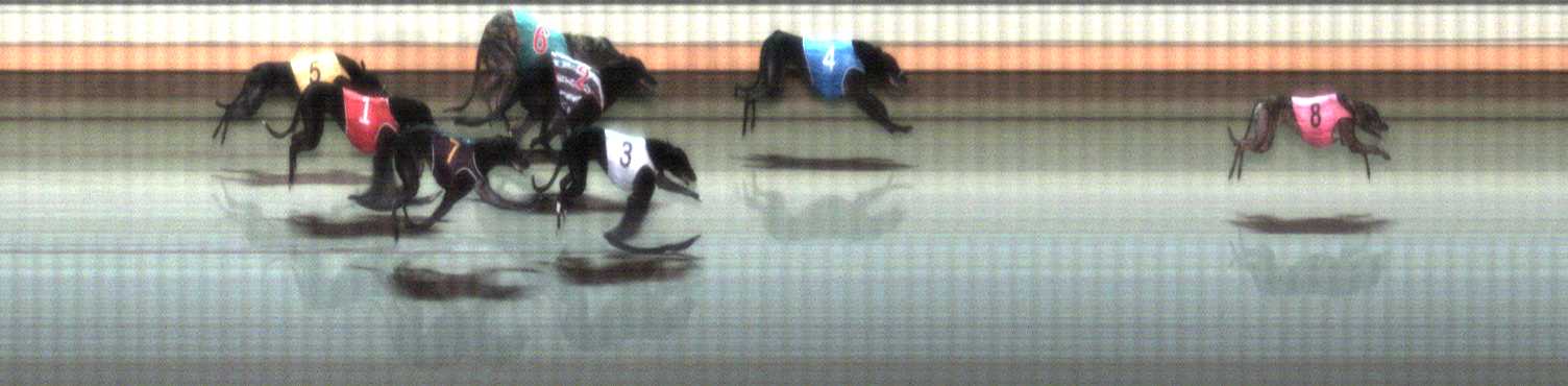 Photo finish for Warrnambool Race 3