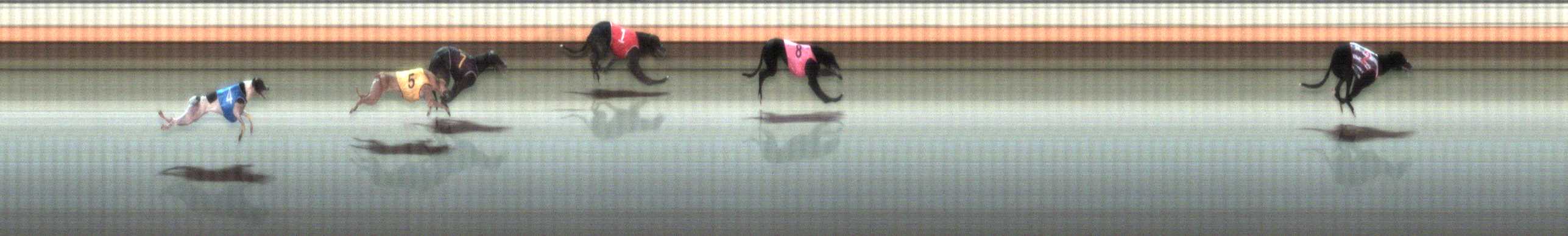 Photo finish for Warrnambool Race 4