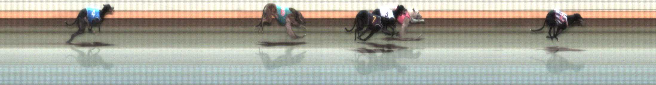 Photo finish for Warrnambool Race 7