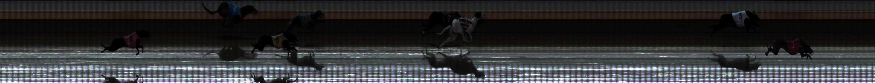Photo finish for Warrnambool Race 1