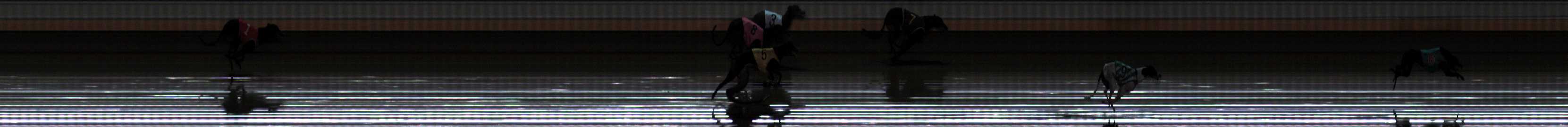 Photo finish for Warrnambool Race 10